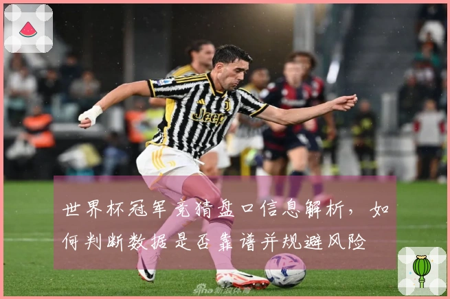 世界杯冠军竞猜盘口信息解析，如何判断数据是否靠谱并规避风险