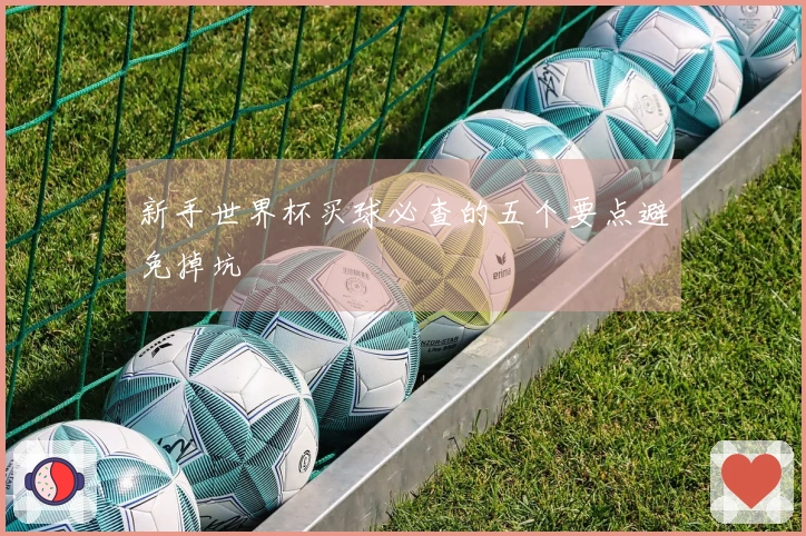 新手世界杯买球必查的五个要点避免掉坑