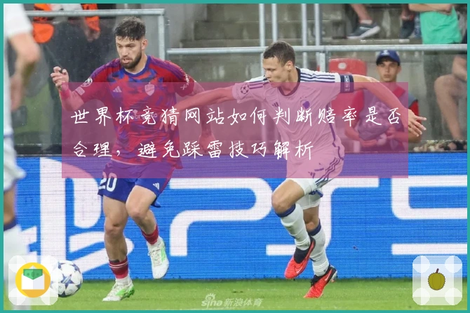世界杯竞猜网站如何判断赔率是否合理，避免踩雷技巧解析